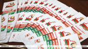 CEC: 951 national observers accredited at territorial commissions in belarus