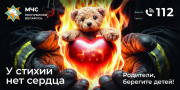 У стихии нет сердца: в какие чрезвычайные ситуации попадают дети?