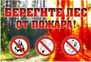 Лесные пожары