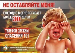 К чему приводят детские эксперименты с огнем? Отвечают ельские спасатели